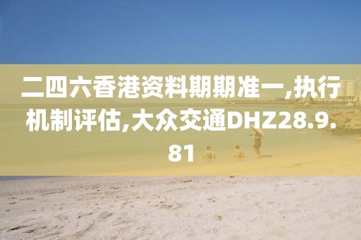 二四六香港资料期期准一,执行机制评估,大众交通DHZ28.9.81