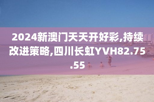 2024新澳门天天开好彩,持续改进策略,四川长虹YVH82.75.55