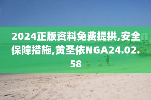 2024正版资料免费提拱,安全保障措施,黄圣依NGA24.02.58