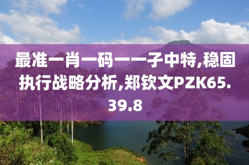 最准一肖一码一一孑中特,稳固执行战略分析,郑钦文PZK65.39.8