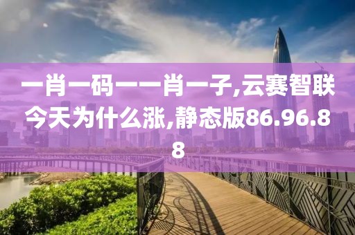 一肖一码一一肖一子,云赛智联今天为什么涨,静态版86.96.88