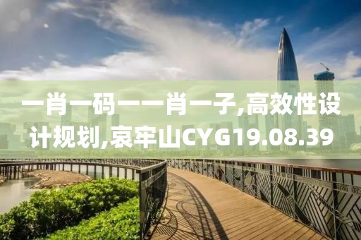 一肖一码一一肖一子,高效性设计规划,哀牢山CYG19.08.39