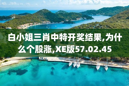 白小姐三肖中特开奖结果,为什么个股涨,XE版57.02.45