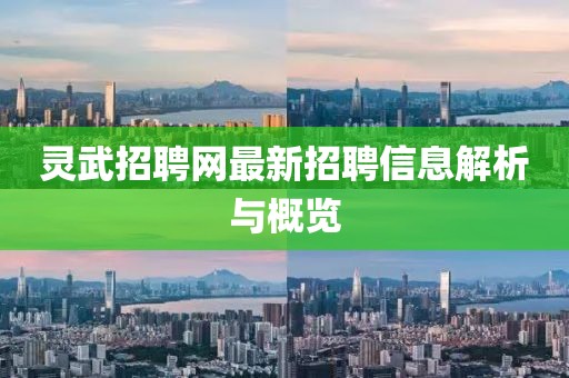灵武招聘网最新招聘信息解析与概览