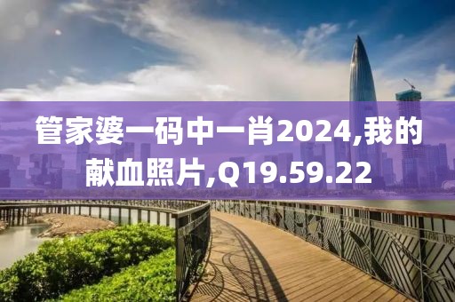 管家婆一码中一肖2024,我的献血照片,Q19.59.22