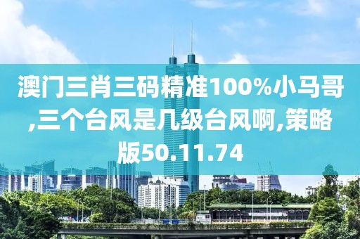 澳门三肖三码精准100%小马哥,三个台风是几级台风啊,策略版50.11.74