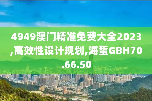 4949澳门精准免费大全2023,高效性设计规划,海蜇GBH70.66.50