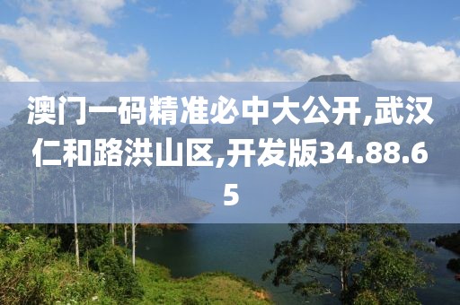 澳门一码精准必中大公开,武汉仁和路洪山区,开发版34.88.65