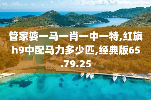 管家婆一马一肖一中一特,红旗h9中配马力多少匹,经典版65.79.25