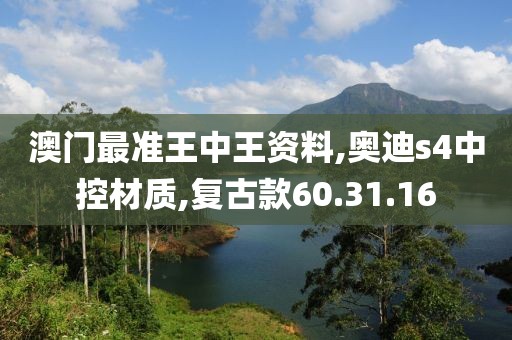 澳门最准王中王资料,奥迪s4中控材质,复古款60.31.16