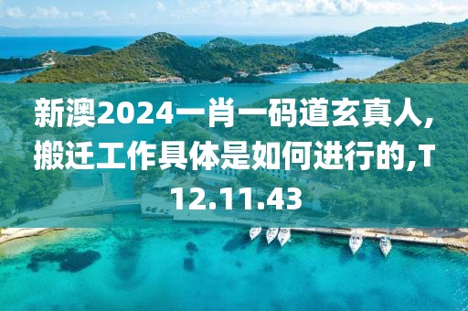 新澳2024一肖一码道玄真人,搬迁工作具体是如何进行的,T12.11.43