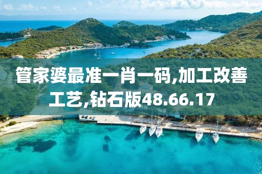 管家婆最准一肖一码,加工改善工艺,钻石版48.66.17