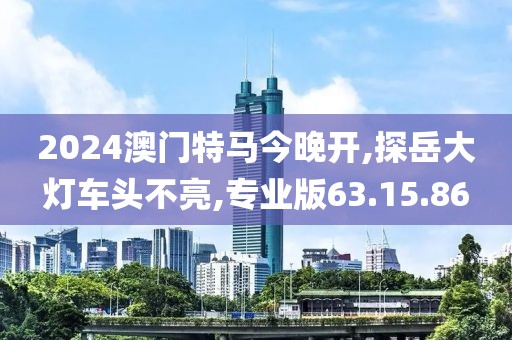2024澳门特马今晚开,探岳大灯车头不亮,专业版63.15.86