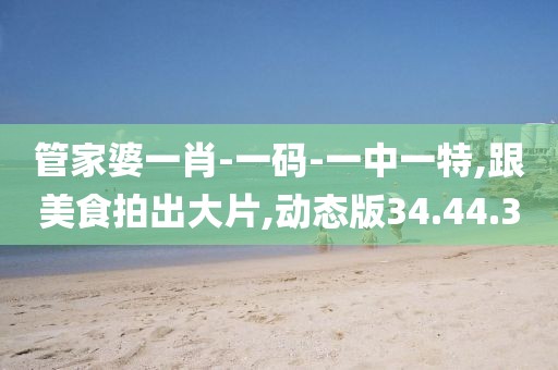 管家婆一肖-一码-一中一特,跟美食拍出大片,动态版34.44.30