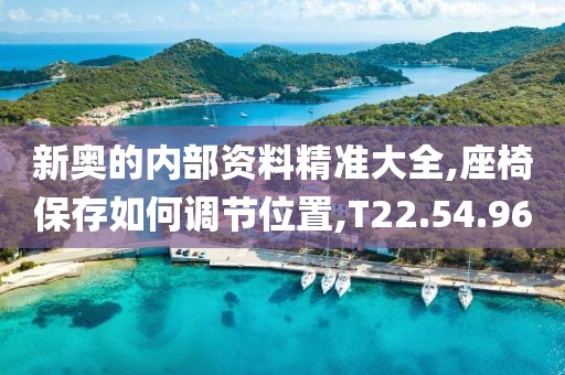 新奥的内部资料精准大全,座椅保存如何调节位置,T22.54.96