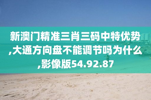 新澳门精准三肖三码中特优势,大通方向盘不能调节吗为什么,影像版54.92.87