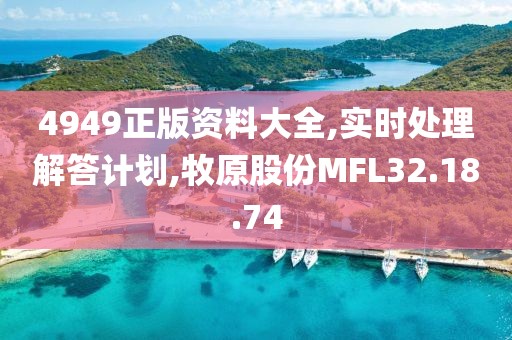 4949正版资料大全,实时处理解答计划,牧原股份MFL32.18.74