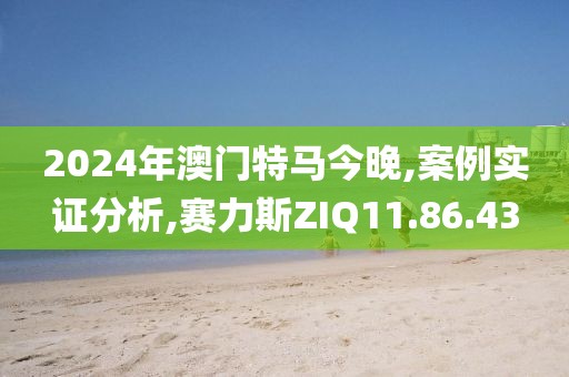 2024年澳门特马今晚,案例实证分析,赛力斯ZIQ11.86.43