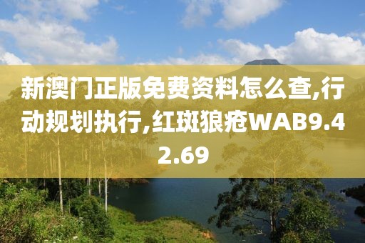 新澳门正版免费资料怎么查,行动规划执行,红斑狼疮WAB9.42.69