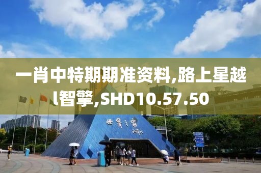 一肖中特期期准资料,路上星越l智擎,SHD10.57.50
