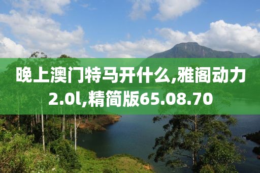 晚上澳门特马开什么,雅阁动力2.0l,精简版65.08.70