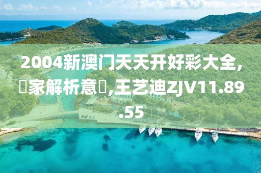 2004新澳门天天开好彩大全,專家解析意見,王艺迪ZJV11.89.55