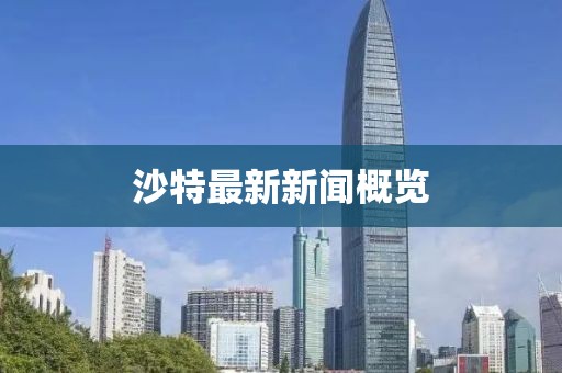 沙特最新新闻概览