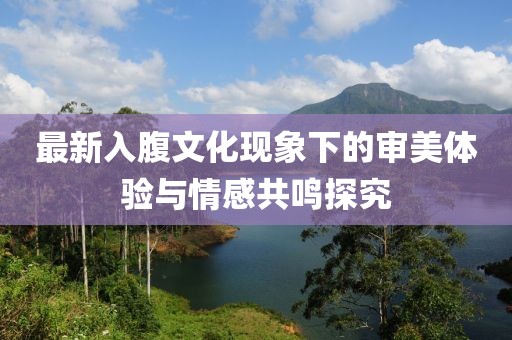 最新入腹文化现象下的审美体验与情感共鸣探究