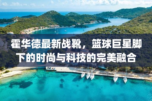 霍华德最新战靴，篮球巨星脚下的时尚与科技的完美融合