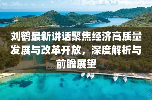 刘鹤最新讲话聚焦经济高质量发展与改革开放，深度解析与前瞻展望