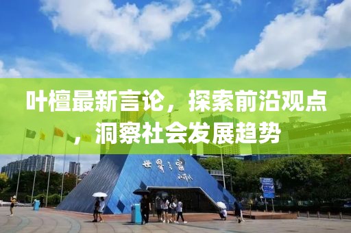 叶檀最新言论，探索前沿观点，洞察社会发展趋势