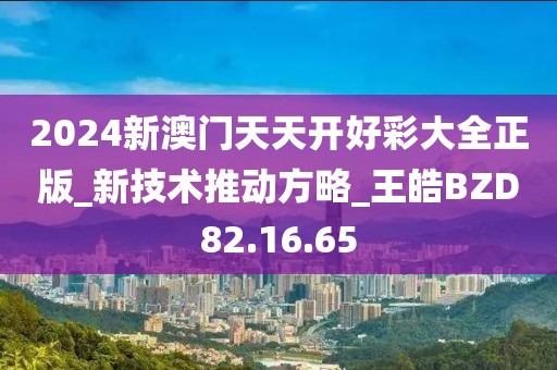 2024新澳门天天开好彩大全正版_新技术推动方略_王皓BZD82.16.65