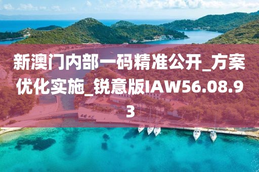 新澳门内部一码精准公开_方案优化实施_锐意版IAW56.08.93