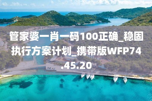 管家婆一肖一码100正确_稳固执行方案计划_携带版WFP74.45.20