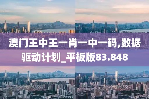 澳门王中王一肖一中一码,数据驱动计划_平板版83.848