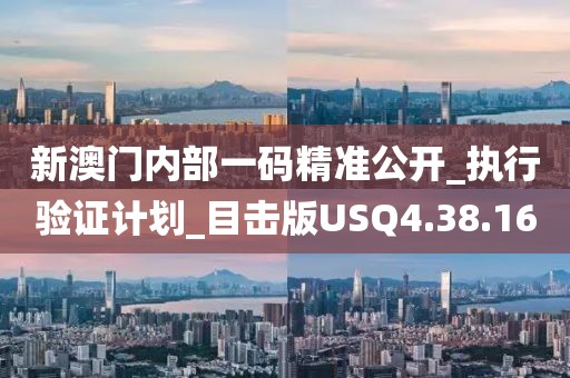 新澳门内部一码精准公开_执行验证计划_目击版USQ4.38.16