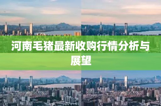 河南毛猪最新收购行情分析与展望