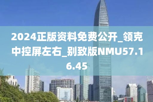 2024正版资料免费公开_领克中控屏左右_别致版NMU57.16.45