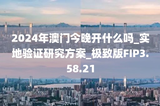 2024年澳门今晚开什么吗_实地验证研究方案_极致版FIP3.58.21