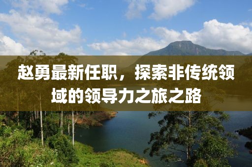 赵勇最新任职，探索非传统领域的领导力之旅之路