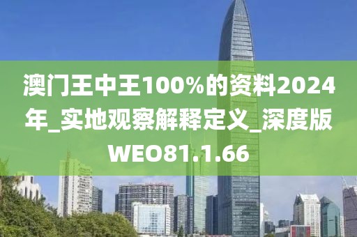 澳门王中王100%的资料2024年_实地观察解释定义_深度版WEO81.1.66