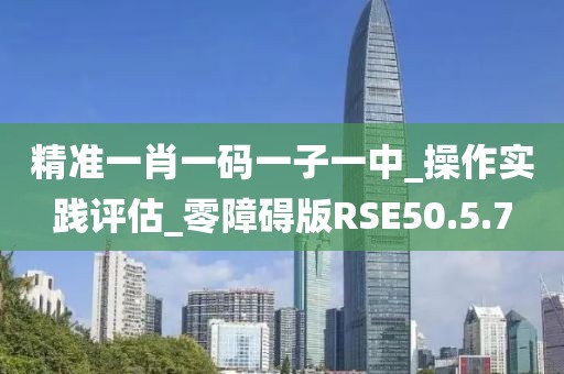 2024年11月17日 第107页