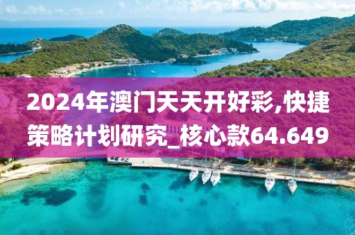 2024年澳门天天开好彩,快捷策略计划研究_核心款64.649