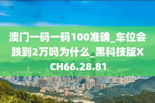2024年11月17日 第95页