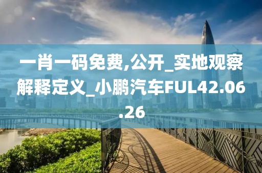 一肖一码免费,公开_实地观察解释定义_小鹏汽车FUL42.06.26
