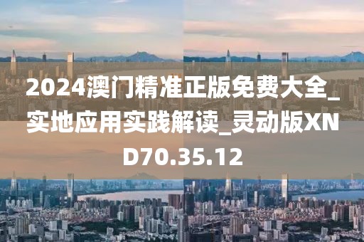2024澳门精准正版免费大全_实地应用实践解读_灵动版XND70.35.12