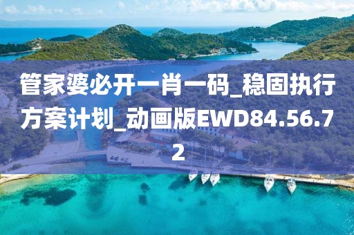 管家婆必开一肖一码_稳固执行方案计划_动画版EWD84.56.72