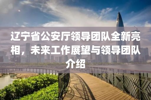 辽宁省公安厅领导团队全新亮相，未来工作展望与领导团队介绍