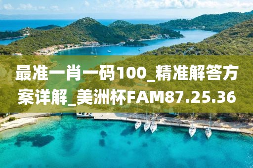 最准一肖一码100_精准解答方案详解_美洲杯FAM87.25.36