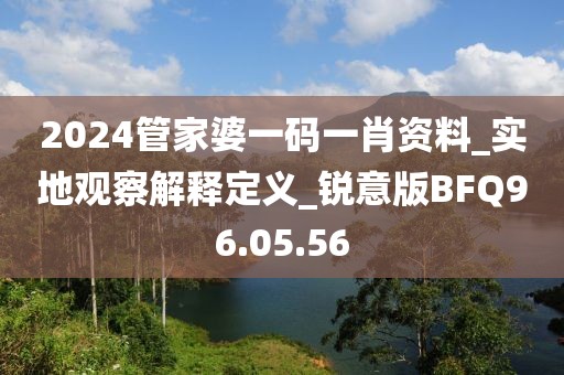 2024管家婆一码一肖资料_实地观察解释定义_锐意版BFQ96.05.56